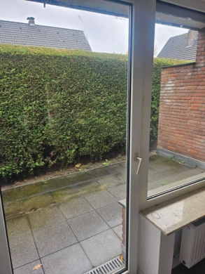 Kleine aber Feine 1,5 Zimmer Erdgeschosswohnung in Rhede mit Terrasse - Bild (66524)