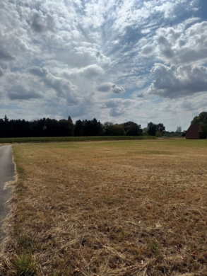 Freifläche in Bocholt-Biemenhorst zu vermieten - Grundstück Zum Waldschlösschen (64413)