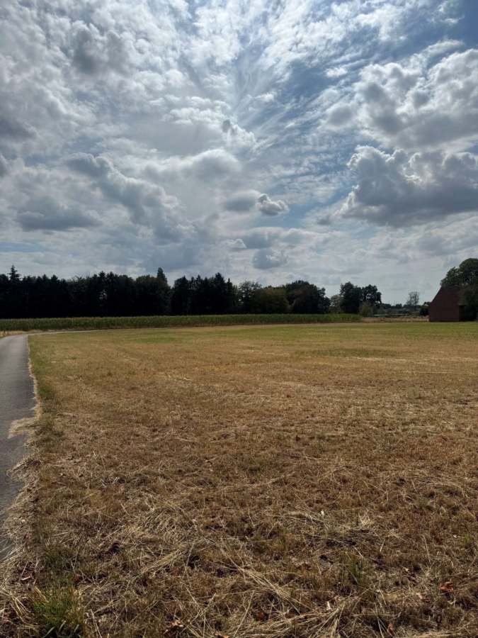 Grundstück Zum Waldschlösschen