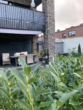 Garten (2) - 3-Zimmer-EG-Wohnung in Bocholt