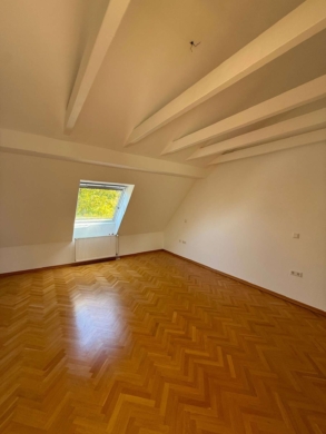 Charmante und besondere Maisonette – Altbauwohnung in zentraler Lage zu vermieten - Bild (64884)